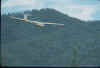 glider.jpg (20081 bytes)