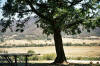 outdoor eating area at Bogong Estate winery